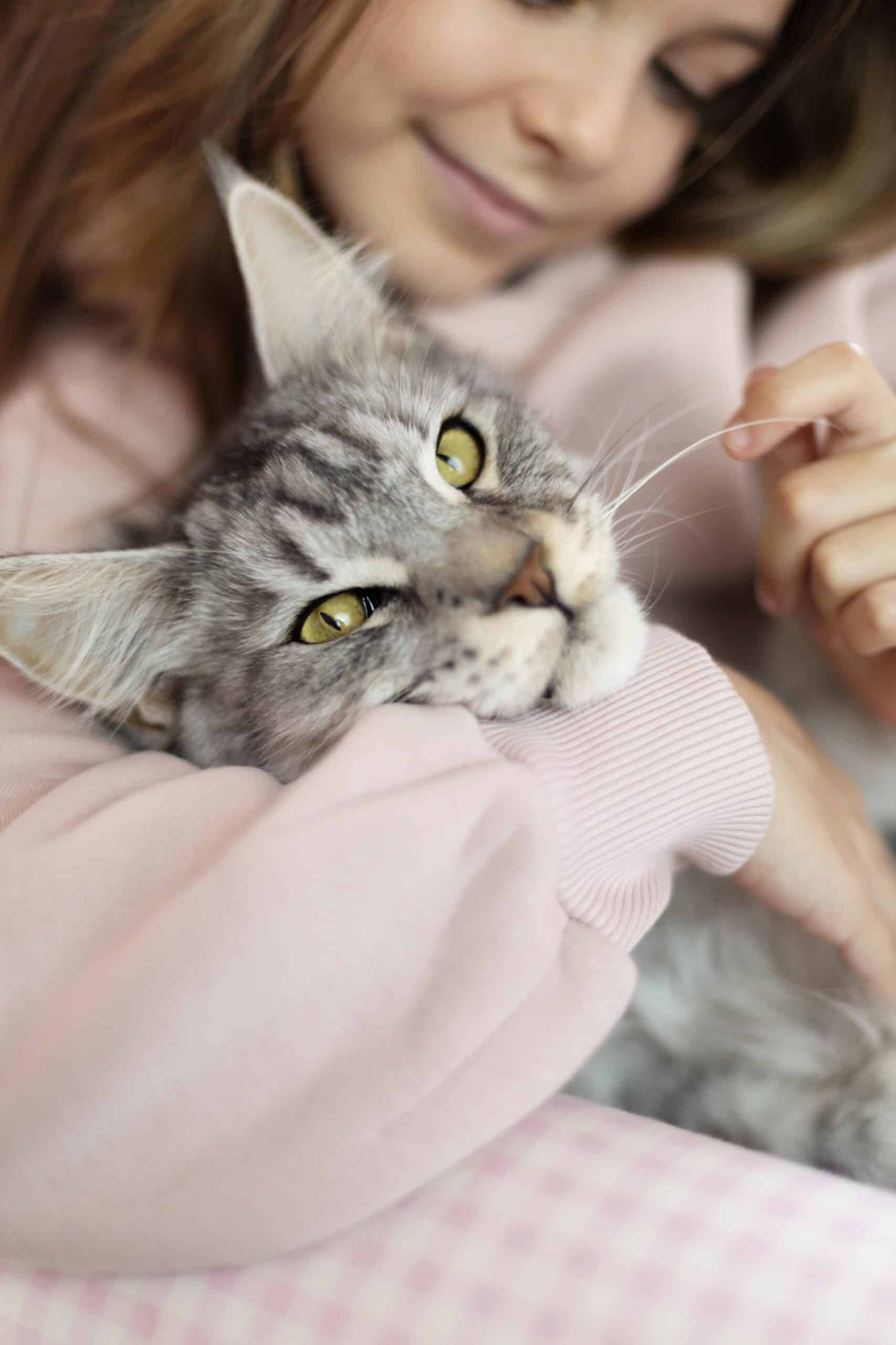 terrawind global protection